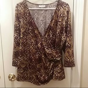 Dressbarn Blouse Size 1X